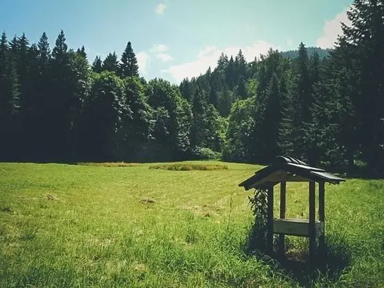 Kulübe, Birden Çok Yatak (Crystal Creek Chalet)