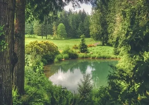 Kulübe, Birden Çok Yatak (Crystal Creek Chalet)