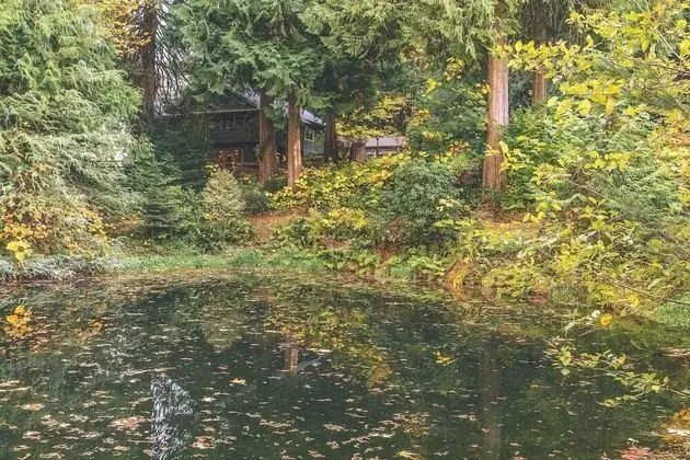 Kulübe, Birden Çok Yatak (Crystal Creek Chalet)