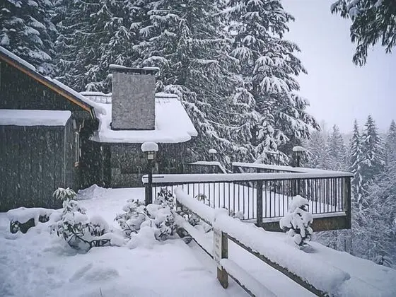 Kulübe, Birden Çok Yatak (Crystal Creek Chalet)