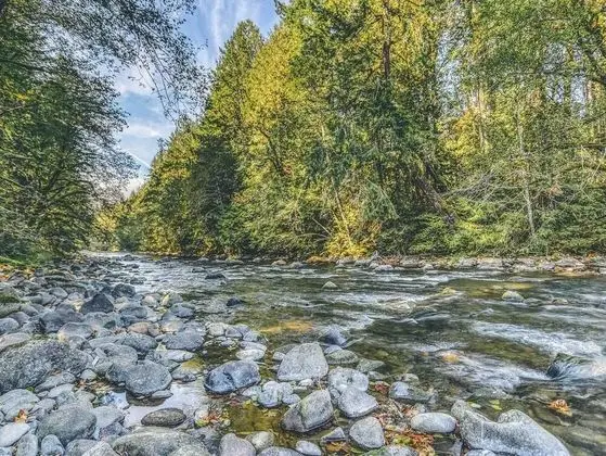 Kulübe, Birden Çok Yatak (Crystal Creek Chalet)