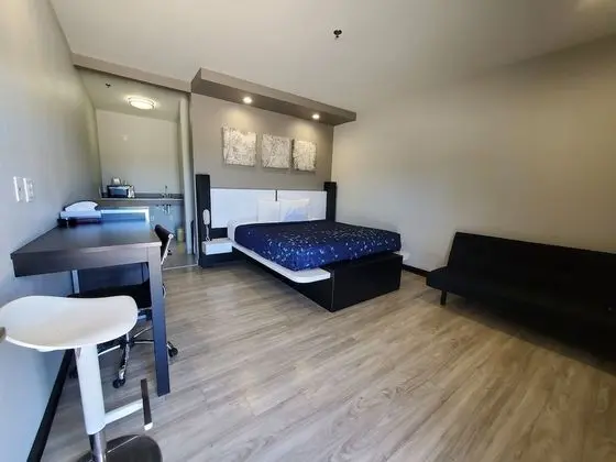 Standard Oda, 1 En Büyük (King) Boy Yatak, Sigara İçilebilir