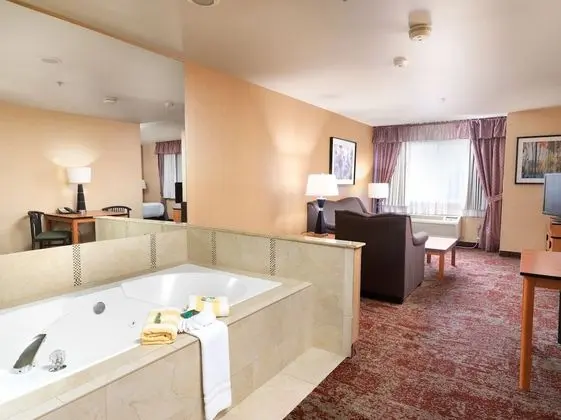 Executive Suite, 1 King Bed with Sofa bed, Jetted Tub, Non Smoking