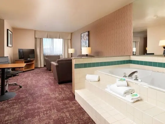 Executive Suite, 1 King Bed with Sofa bed, Jetted Tub, Non Smoking
