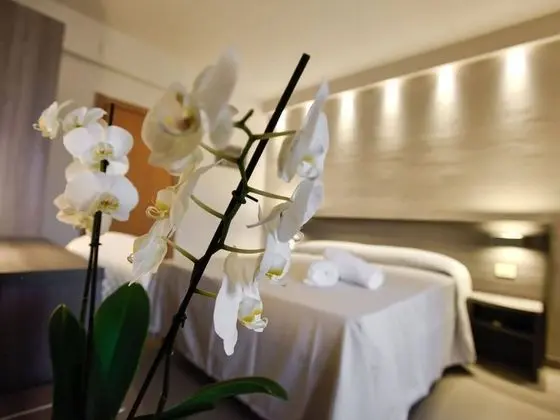 Classic Tek Büyük veya İki Ayrı Yataklı Oda