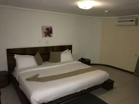 Deluxe Tek Büyük Yataklı Oda, Şehir Manzaralı (Superior)