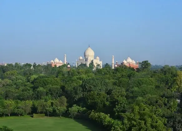 Premium Oda, 1 Yatak Odası (Taj Facing)