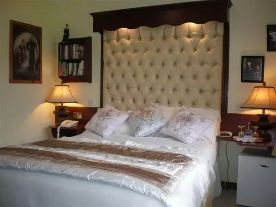 Luxury Tek Büyük Yataklı Oda, 1 Çift Kişilik Yatak, Banyolu/Duşlu