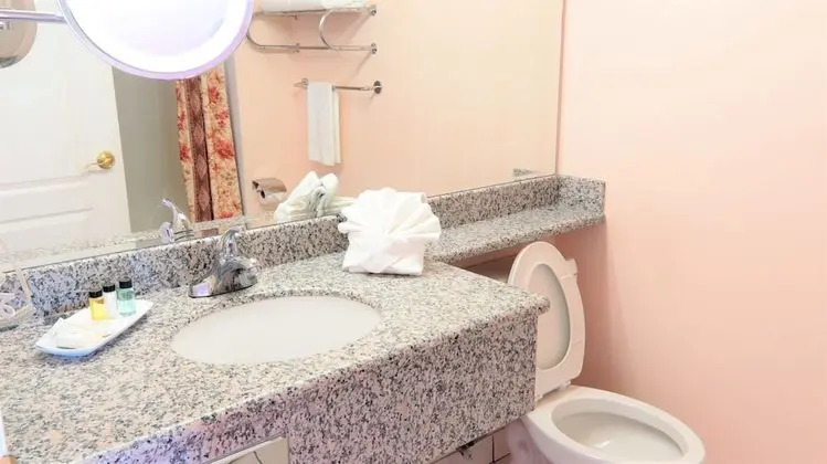 Premium Tek Büyük Yataklı Oda, 2 Büyük (Queen) Boy Yatak, Şömine