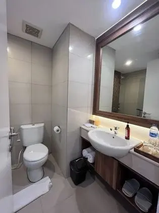 Superior Oda, 1 Yatak Odası, Şehir Manzaralı
