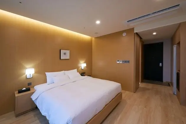 Deluxe Tek Büyük Yataklı Oda