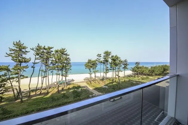 Standard İki Ayrı Yataklı Oda, Okyanus Manzaralı (Extra Duvet cost KRW 20,000)