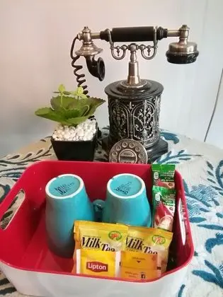 Deluxe Oda, 1 Yatak Odası, Banyolu/Duşlu, Zemin Kat
