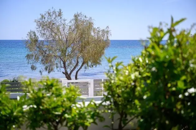 Stüdyo, Deniz Manzaralı (3, with terrace)