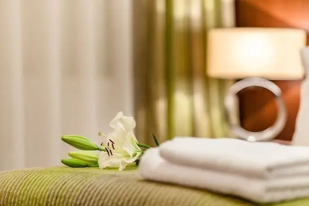 Superior Tek Büyük veya İki Ayrı Yataklı Oda