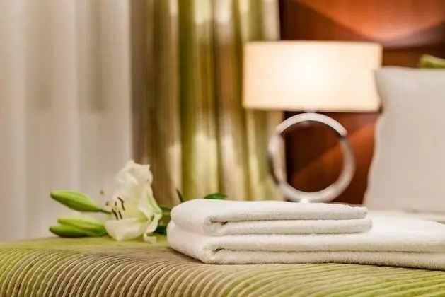 Superior Tek Büyük veya İki Ayrı Yataklı Oda