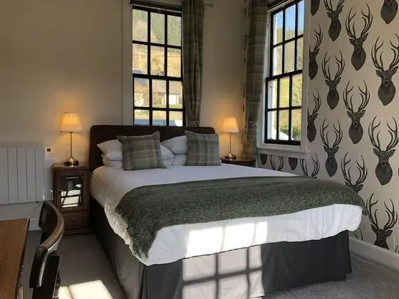 Deluxe Tek Büyük Yataklı Oda, Banyolu/Duşlu, Dağ Manzaralı (Green Room)