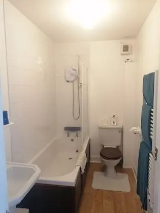 Deluxe Tek Büyük Yataklı Oda, Banyolu/Duşlu, Dağ Manzaralı (Green Room)