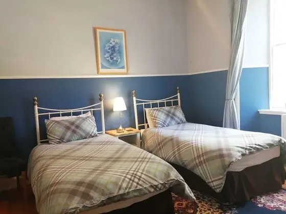 Standard İki Ayrı Yataklı Oda, Banyolu/Duşlu (Blue Room)