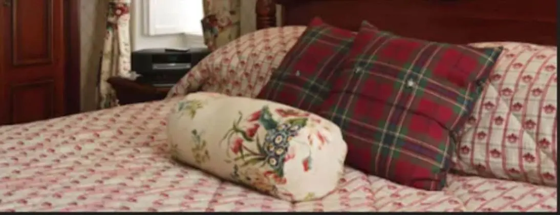 Classic Tek Kişilik Oda, 1 Büyük (Queen) Boy Yatak