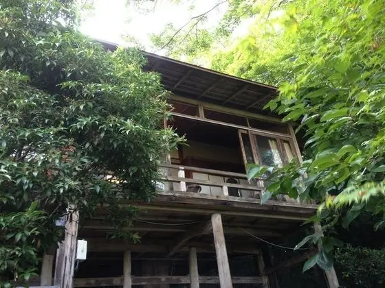 Traditional Oda (Sakura, Take, Matsu)