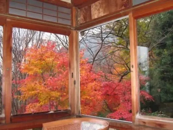 Traditional Oda (Sode)
