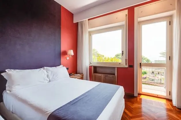 Executive Tek Büyük veya İki Ayrı Yataklı Oda, Balkon