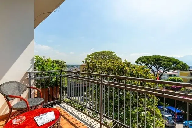 Executive Tek Büyük veya İki Ayrı Yataklı Oda, Balkon