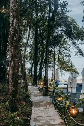 Nature View Deluxe