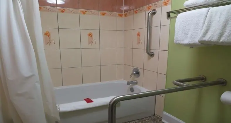 Süit, 1 En Büyük (King) Boy Yatak, Engellilere Uygun, Sıcak Su Küveti (with Sofabed)