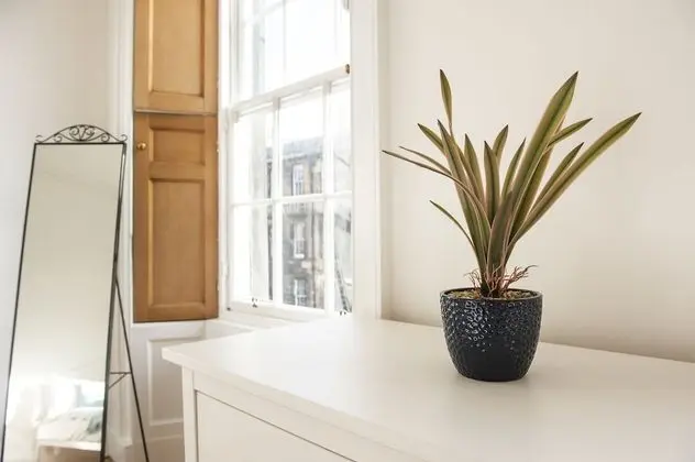 Luxury Apart Daire, 1 Çift Kişilik Yatak ve Çekyat, Sigara İçilmez, Şehir Manzaralı