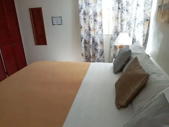 Premium Apartment (1 Bedroom)