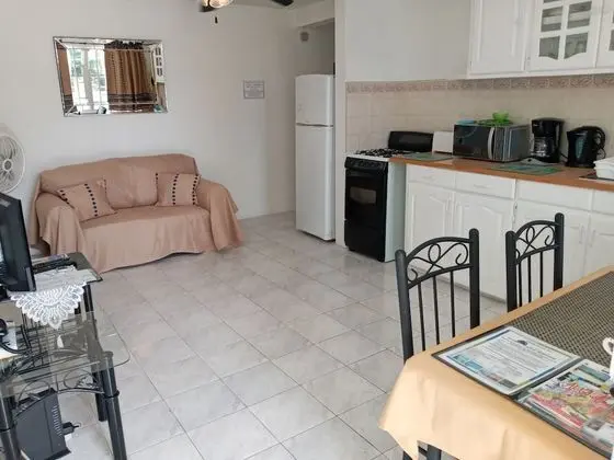 Premium Apartment (1 Bedroom)