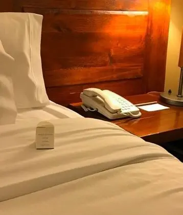 Superior Tek Büyük Yataklı Oda