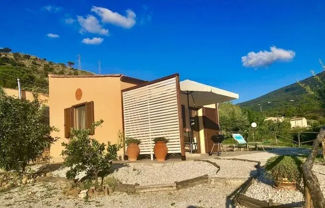 Exclusive Bungalov, Park Manzaralı