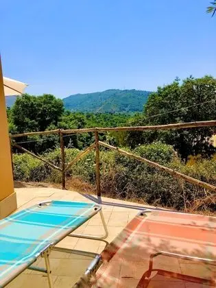 Panoramic Daire, Park Manzaralı