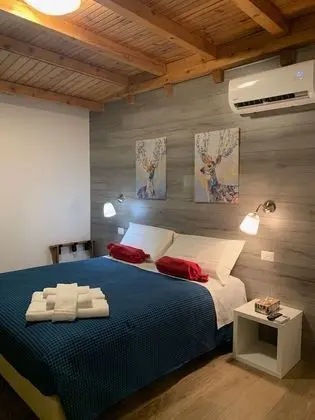 Standard Tek Büyük veya İki Ayrı Yataklı Oda