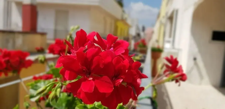 Apart Daire, 1 Yatak Odası, Banyolu/Duşlu, Kule