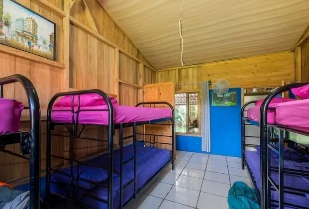 Ortak Ranzalı Oda, Bahçe Manzaralı