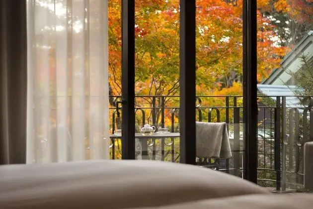 Deluxe İki Ayrı Yataklı Oda, Balkon (Courtyard)