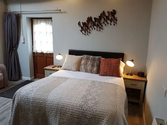 Comfort Tek Büyük Yataklı Oda (Or Bring Your Pet )