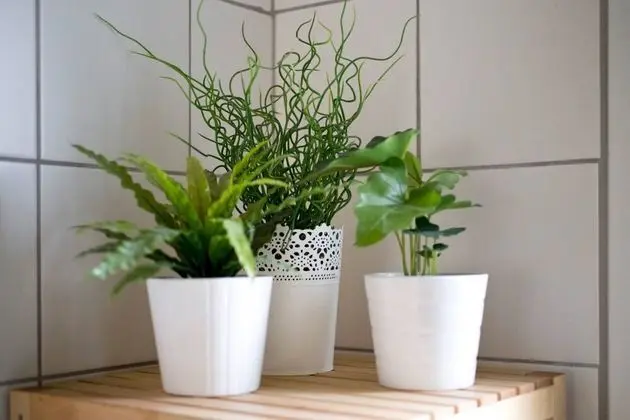 Ev, 2 Yatak Odası, Balkon