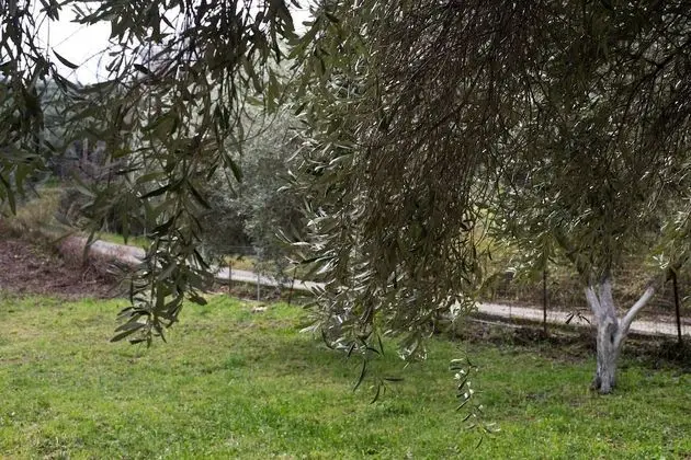 Ev, 2 Yatak Odası, Balkon