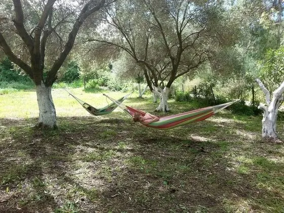 Ev, 2 Yatak Odası, Balkon