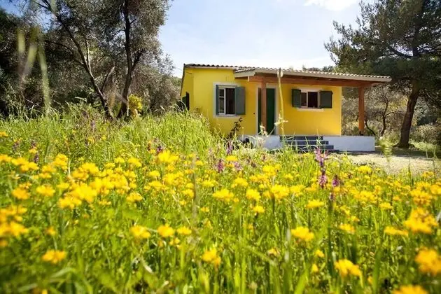 Ev, 2 Yatak Odası, Balkon