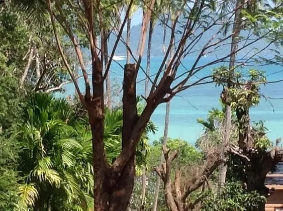Deluxe Room with Ocean View