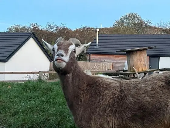 Kulübe, Özel Banyo