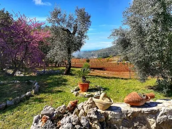 Villa, 3 Yatak Odası