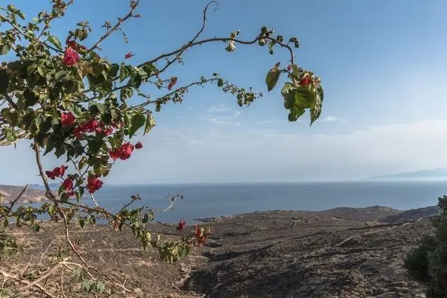 Villa, 6 Yatak Odası, Jakuzi