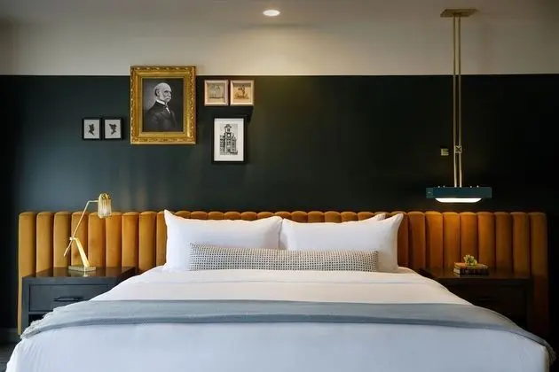 Deluxe Oda, 1 En Büyük (King) Boy Yatak ve Çekyat, Sigara İçilmez